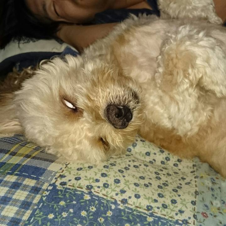 F9571309 f9b1 4243 a87c 3f753cc65145