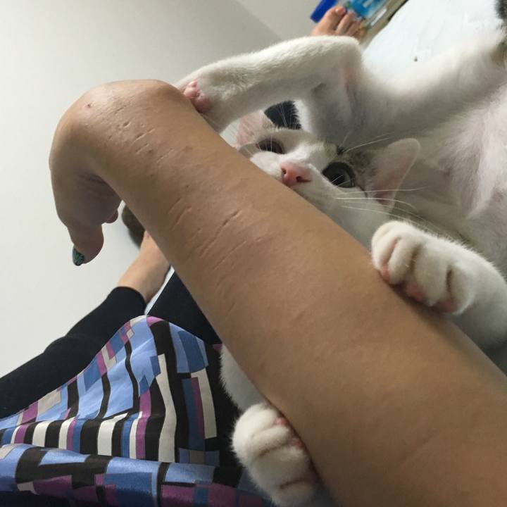 F9577999 1dc8 4011 a912 563e8b9148ed