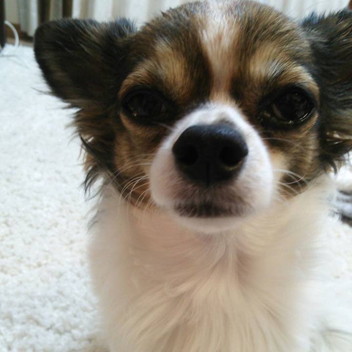 F957aa81 d722 4185 b82c 8cb880539406