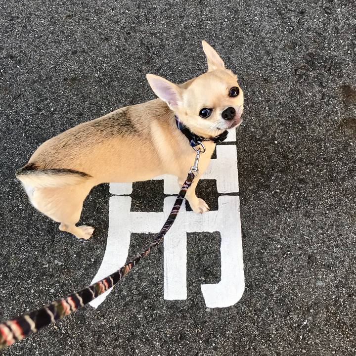 F9588075 f398 4ab5 bebe ef5e8ec43b5c