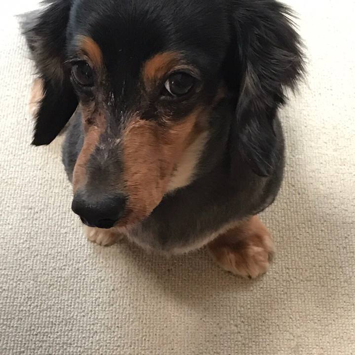 F95949c3 bbb7 4348 b198 97f269fede17