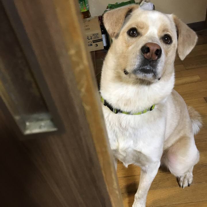 F9595d14 1833 48ae ab2a ba09e2ead146