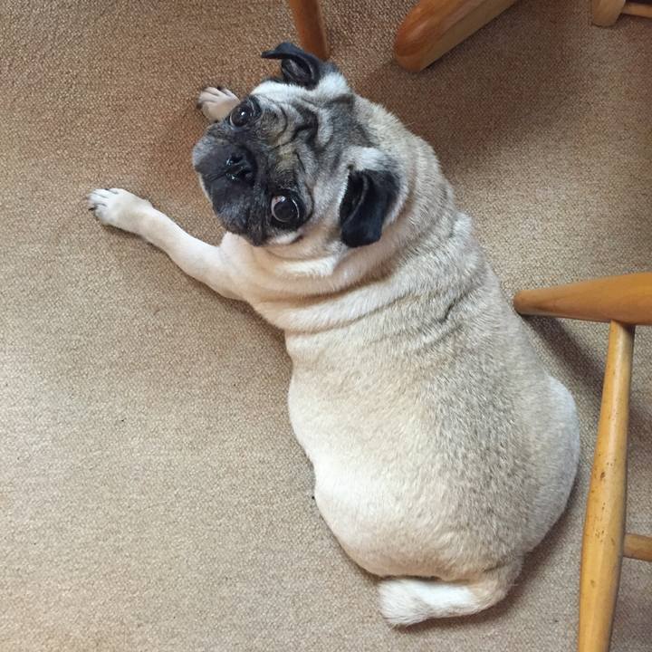 F9598087 d495 4aa7 9eee 6ceb73f35183