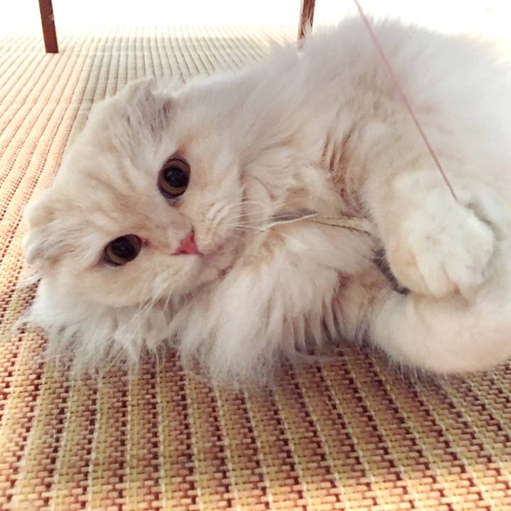 F959d329 3435 4c2f 9b9e 40004e98059e