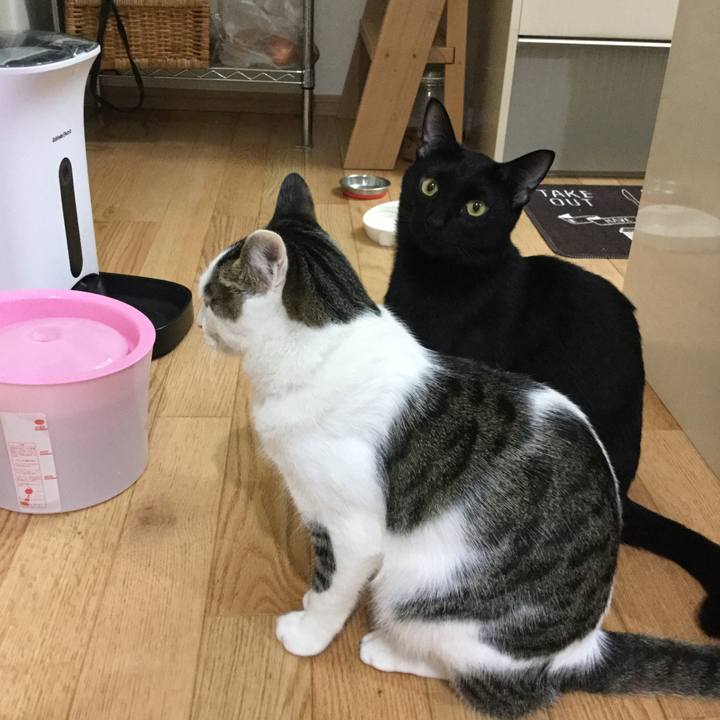 F95a8cfd c615 4f34 b419 0cc6bf80dd1b