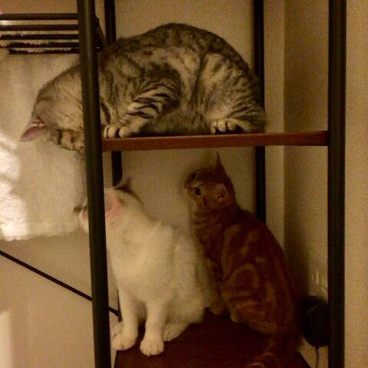 F95ac96a b004 41fc 9615 814e3ca8b55c