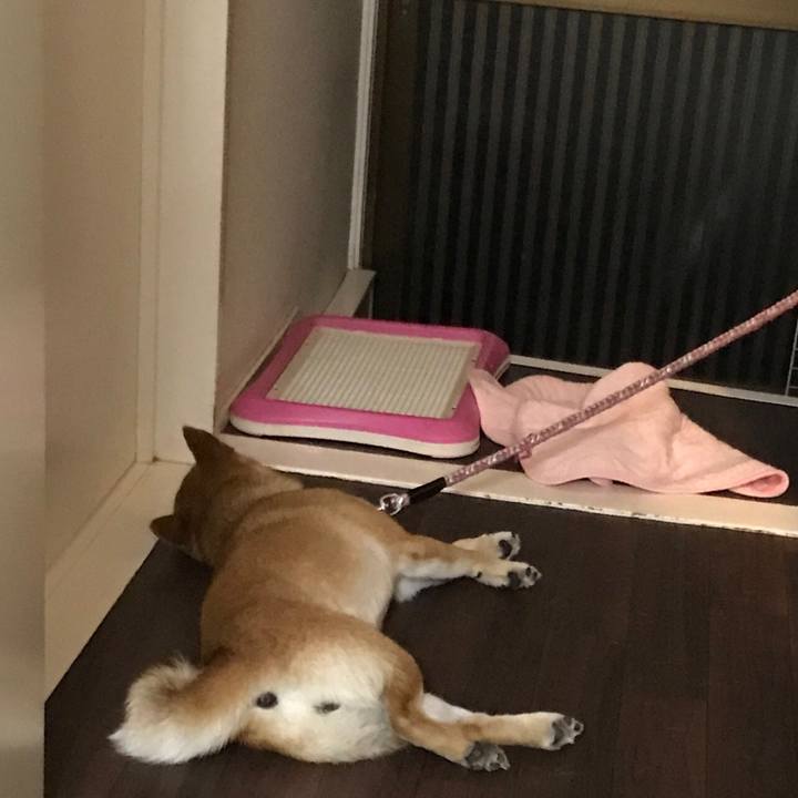 F95b1288 10ca 4c54 a6a6 7f61a4852925