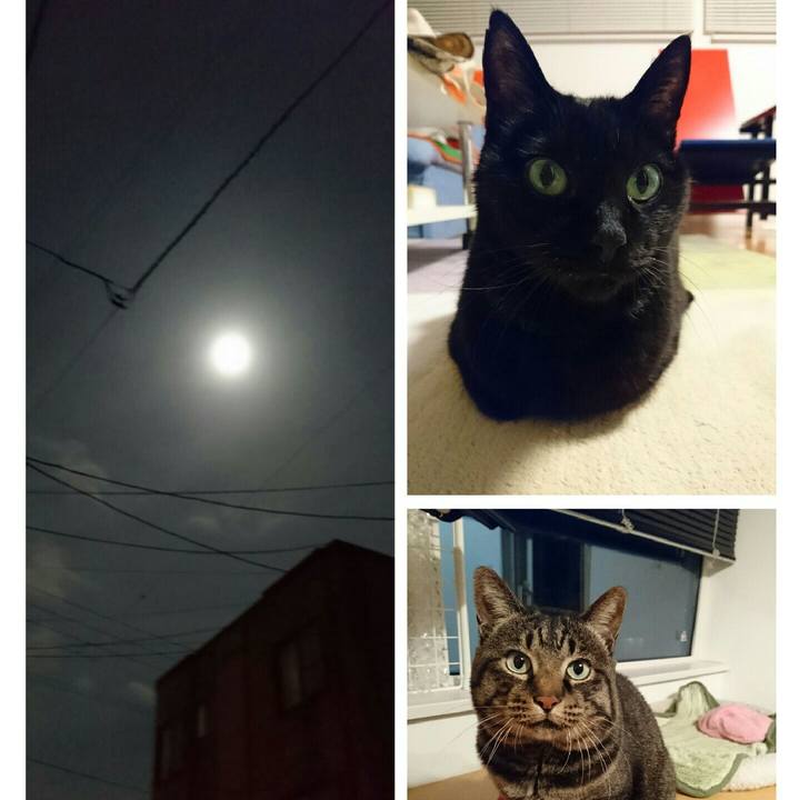 F95b2379 9f1f 4113 86b4 fcbee14c4fc6