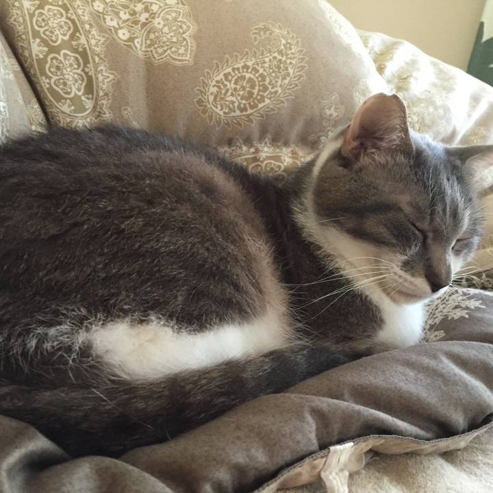 F95b3a9e c87c 4130 96fa 3c45145ccfab