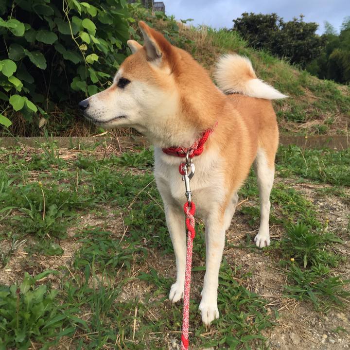 F95b5515 1ee7 422e ad6e 74b3e545b817