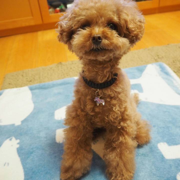 F95c0a7a e39e 44e8 85fa b981a9b19b4b