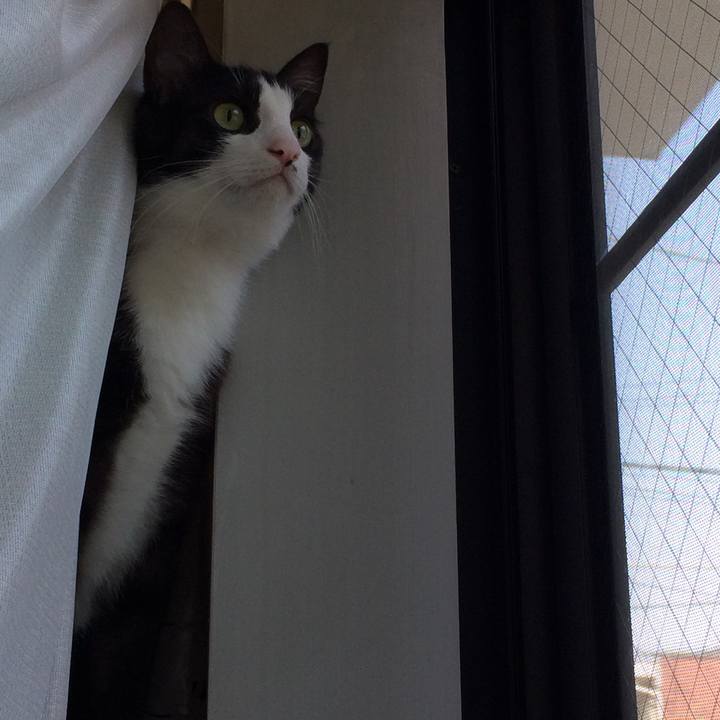 F95c6d22 9455 4271 84fd a215f3d52ee9