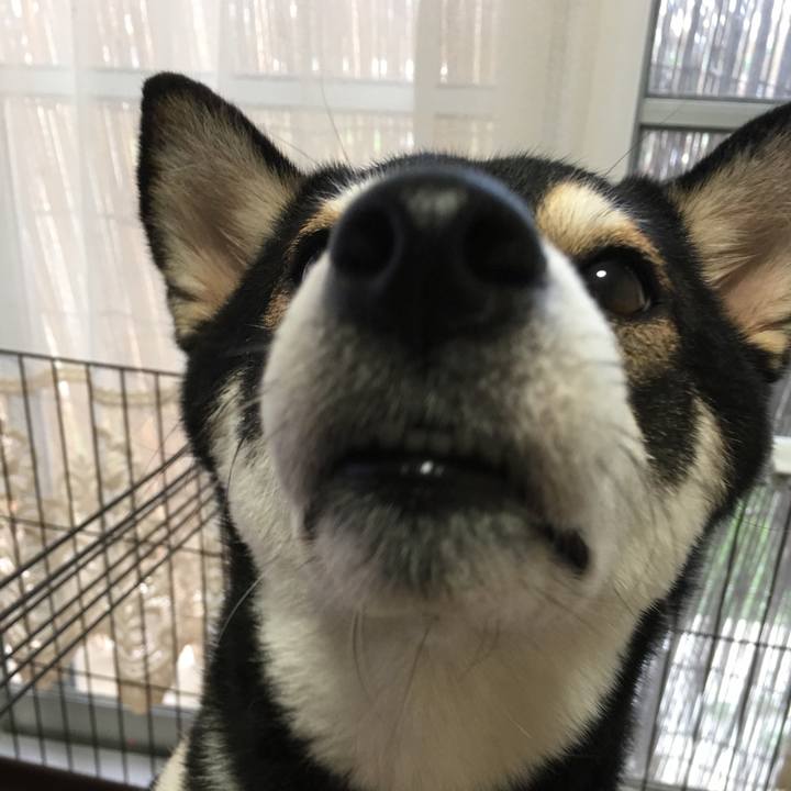 F95c9866 776c 41c9 bf0e 959be8d2af9f