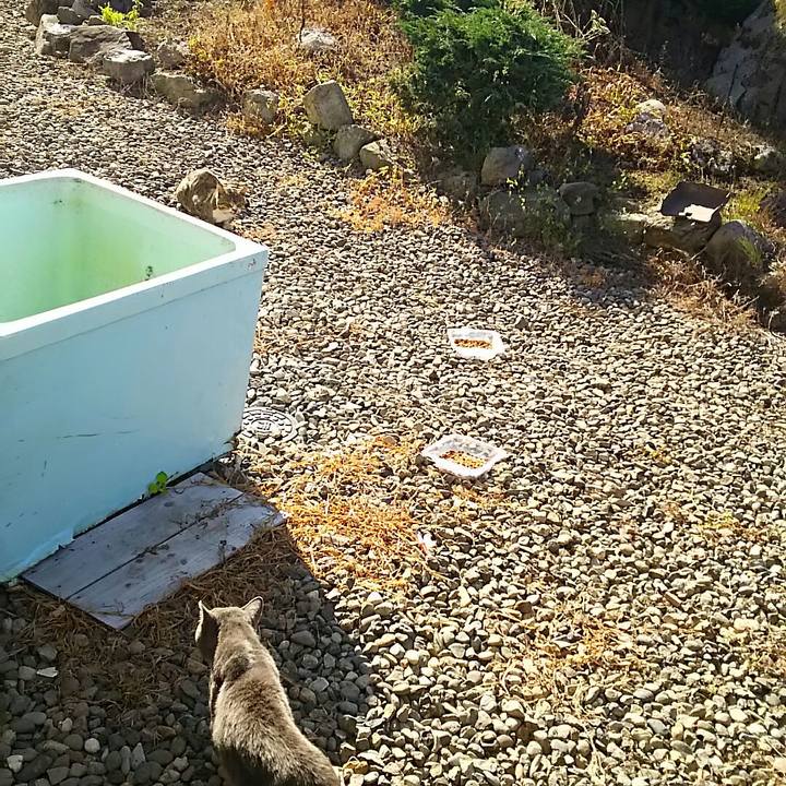 F95d5624 83fc 41d9 90e2 335796f6fd3a