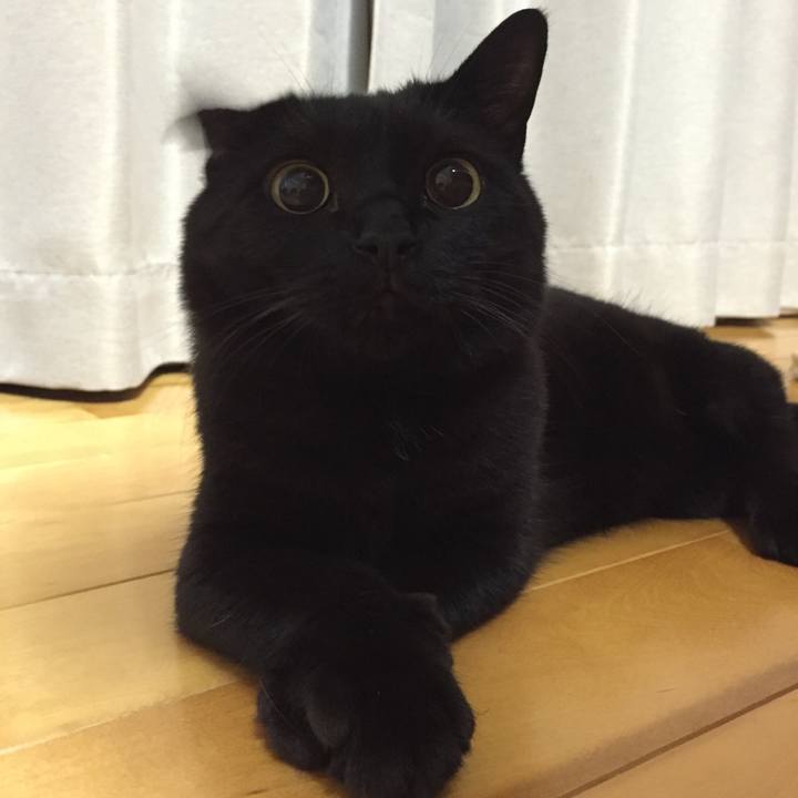 F95d5de4 f67b 4ad8 85ea 45491902c176