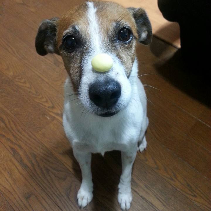 F95ddcee 55fc 40e5 a117 bfea2eb5ecd3