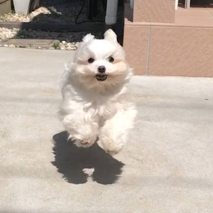 F95eebbd 3b06 4d28 bf44 9c1f2b4f3617