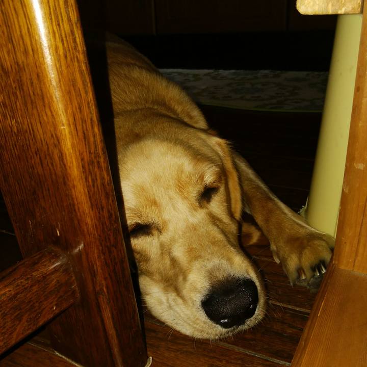 F960a217 c69e 411e a753 4198b67d8f0b