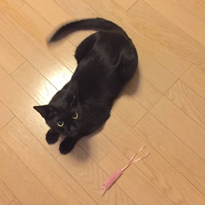 F960c12f e813 46c3 9bd4 aeed3a193ce3