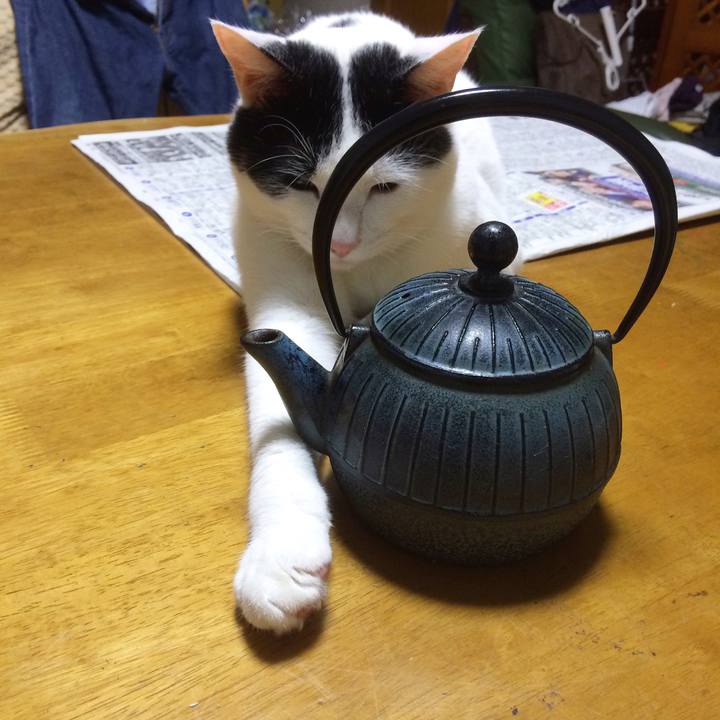 F960decd 6c31 44ac be7c 4252f6acf6ab