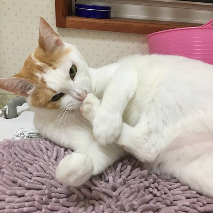 F9614982 3c55 4a56 a465 a92ad9b967f7