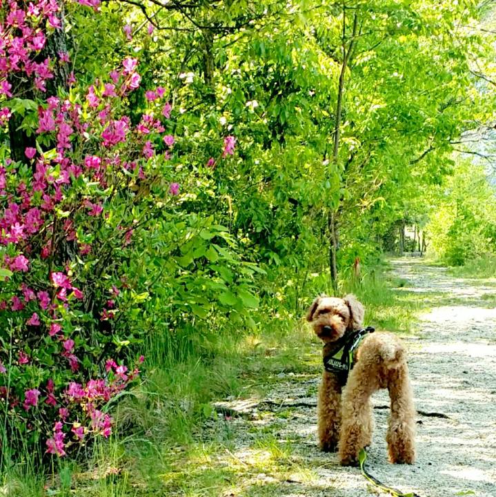 F96163e7 fed5 4a9d 8dee 5ecff6e91917