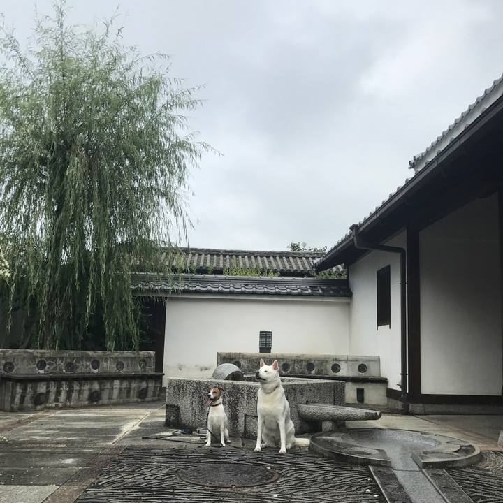 F961872d ff9c 4415 ba7c 95fb1fbfb8b3