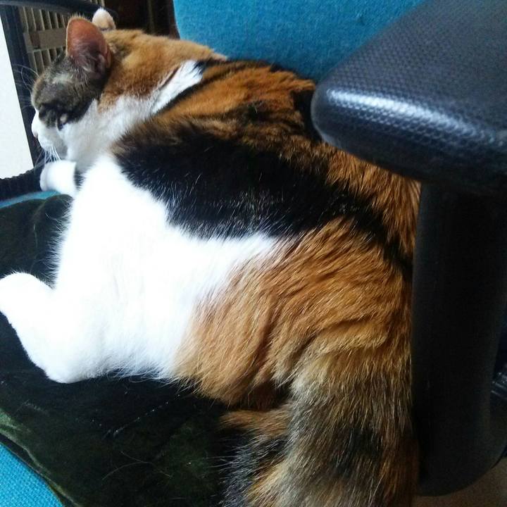 F96345f4 ecae 4b51 8cfe 1f5d4d1b4fd4