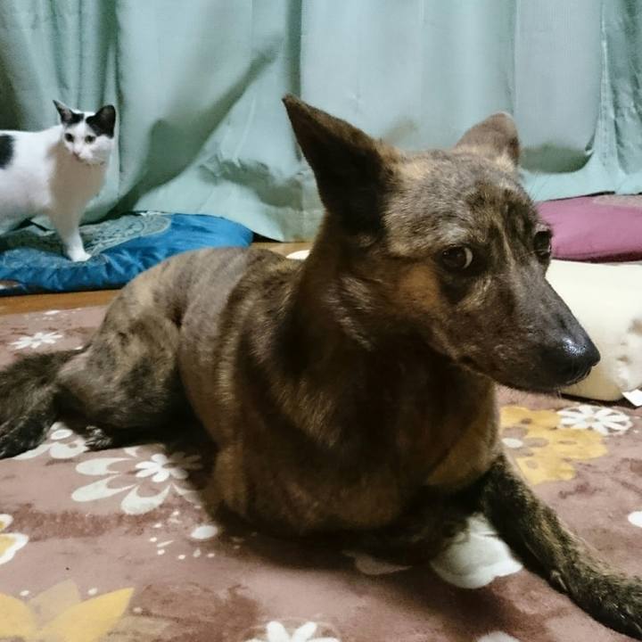 F9635480 fd31 46bd bc88 c89a8ea68cb6