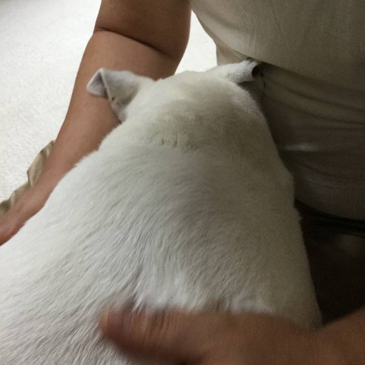 F963598d fed3 4210 91b2 de7f12aa1383