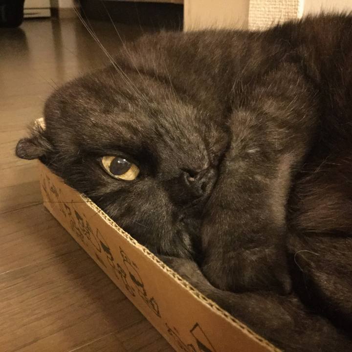 F9635a54 933e 4ca8 924c 5c4a2b82738d