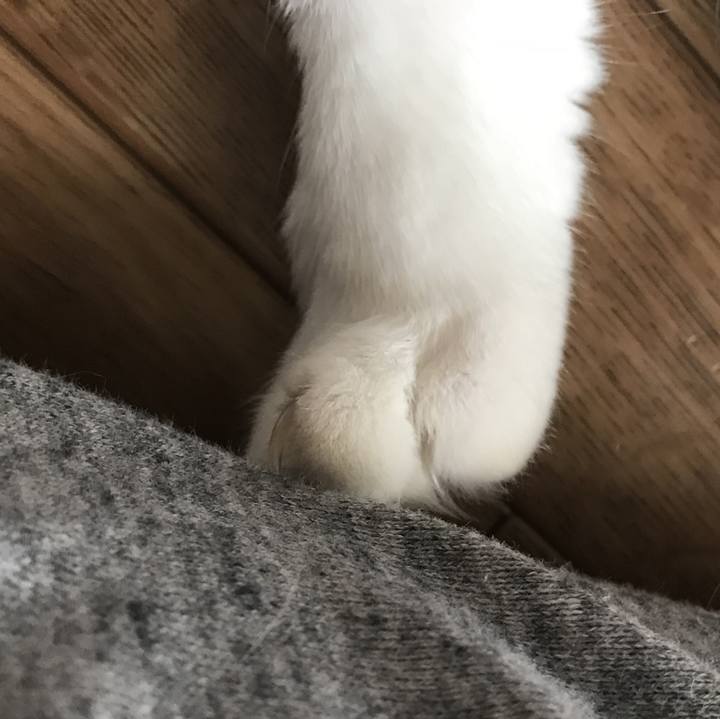 F9636930 4297 4144 ad44 dce421ccb831