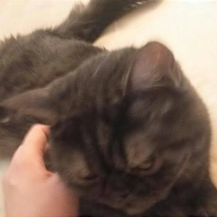 F964212c 8fd3 4638 b468 312db8696c31