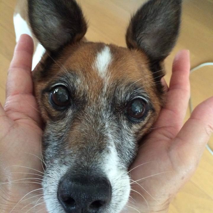 F964ee16 fb84 4b0a 8cb4 aeb41563dee0