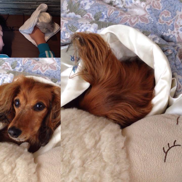 F9656fde d93a 4fe1 9d93 16f9f595fdad