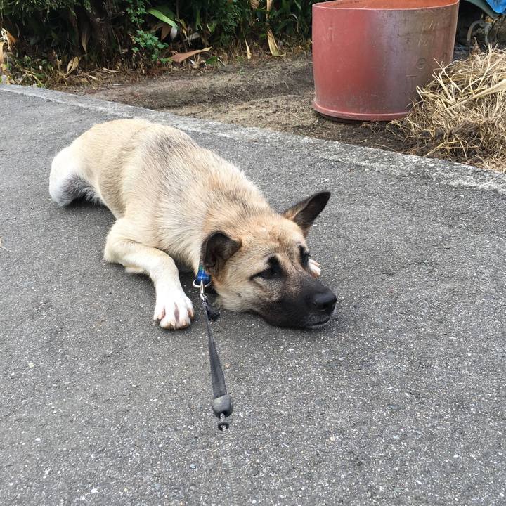 F9659906 d7be 489c 9fbe 045d15d1fed8