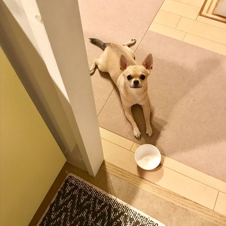 F965a9cc 2289 455c 9b63 c8a78f3b9801