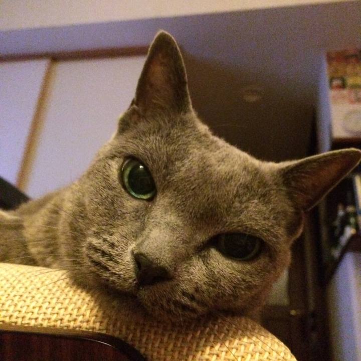 F96679fd 2541 429e 8dde cc692987d1b0