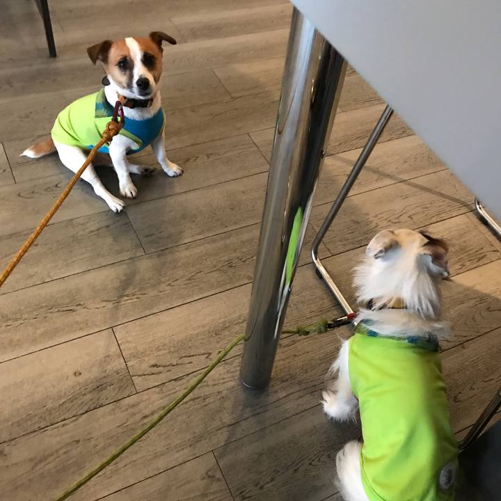 F9667fc5 bbe0 47ff 9bd9 cddd732b62c6