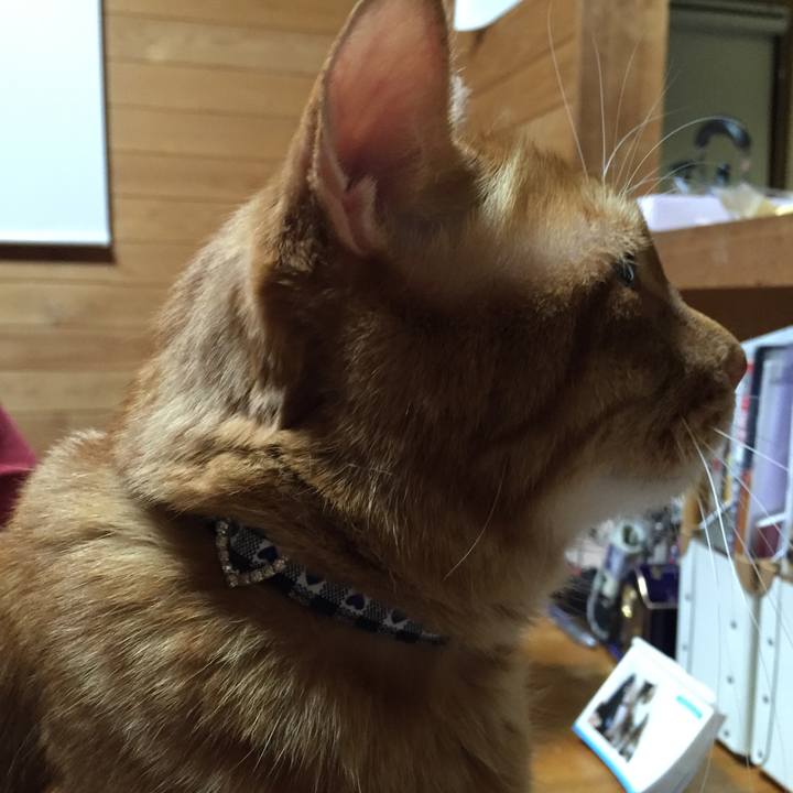 F966db76 8c91 4802 8b9a a8a6532b56ff