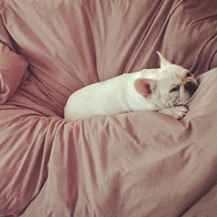 F9670212 259c 42b9 ad7b d39cda098bd6