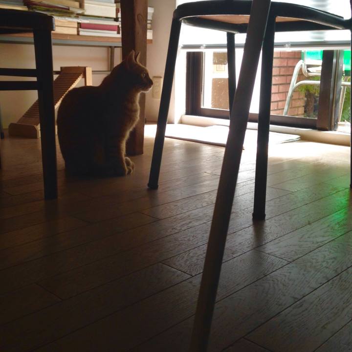 F96722eb 09a3 4ae4 bbf3 c88cb19d0e82