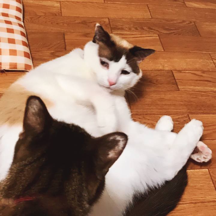 F967f712 2c42 41f4 8ef7 249e58687f2b