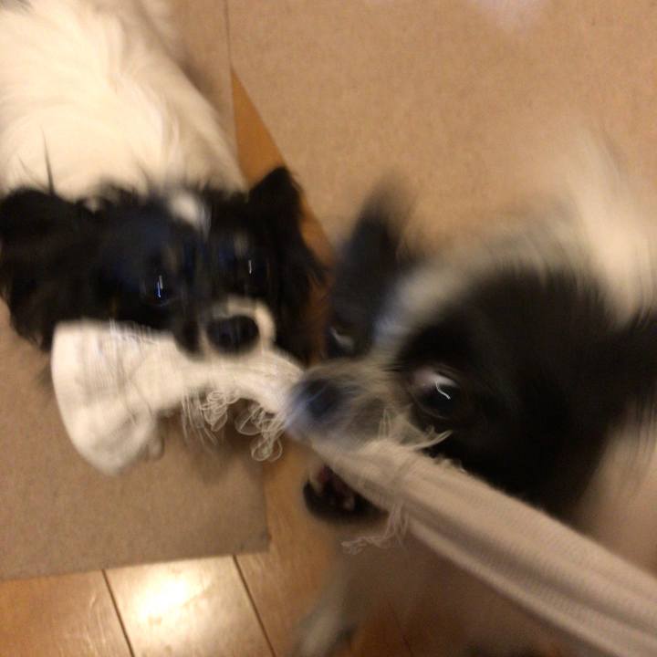 F968357a 4e51 466b bb54 382fbbd003eb