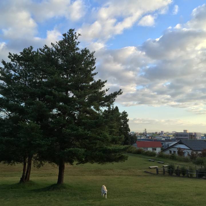 F969053e 7d72 4097 83a8 6945b417d992