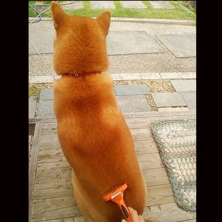 F9690ea7 f041 40dd b67f 1cdb886d80ab