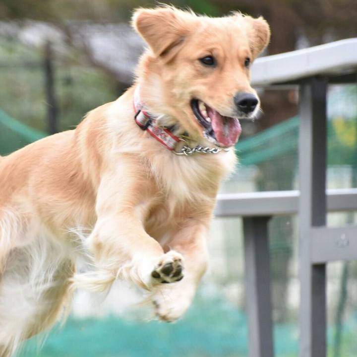 F9692a6d 575a 472a afff fc9d7b076e3c