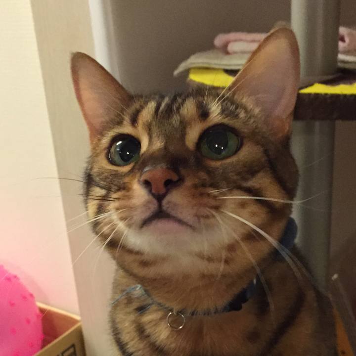 F9693a2d 6d1f 46f5 8433 9a7cb39ff795