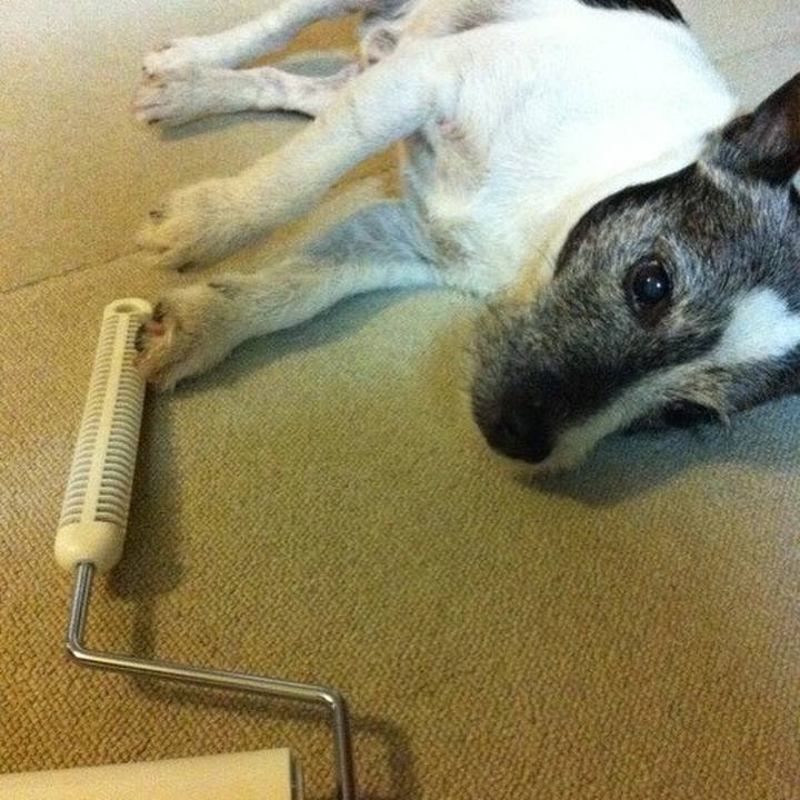 F969931b ffcb 45ba a5ed 15b7725542f9