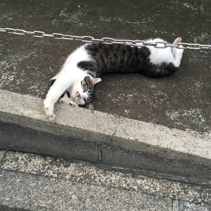 F96a3915 7234 4957 a871 f12fc14bbefa